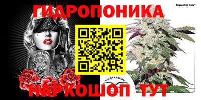 амф Канаш