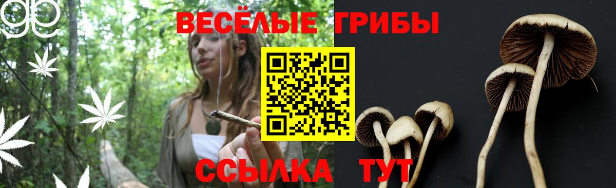 Псилоцибиновые грибы Psilocybe Кумертау